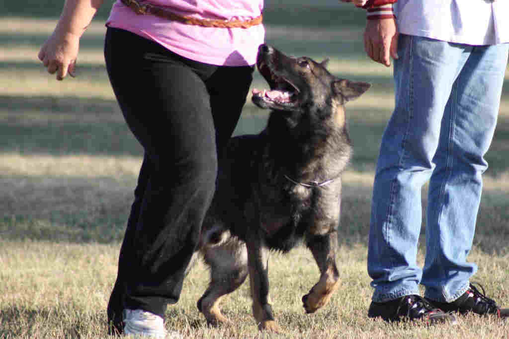 BH071.jpg Ann Marie &amp; Batman picture by dogladyj