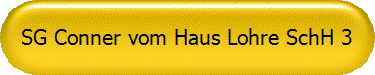 SG Conner vom Haus Lohre SchH 3
