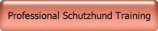 Professional Schutzhund Training